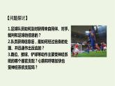 新人教版高中生物选择性必修1第2章神经调节第1节神经调节的结构基础课件