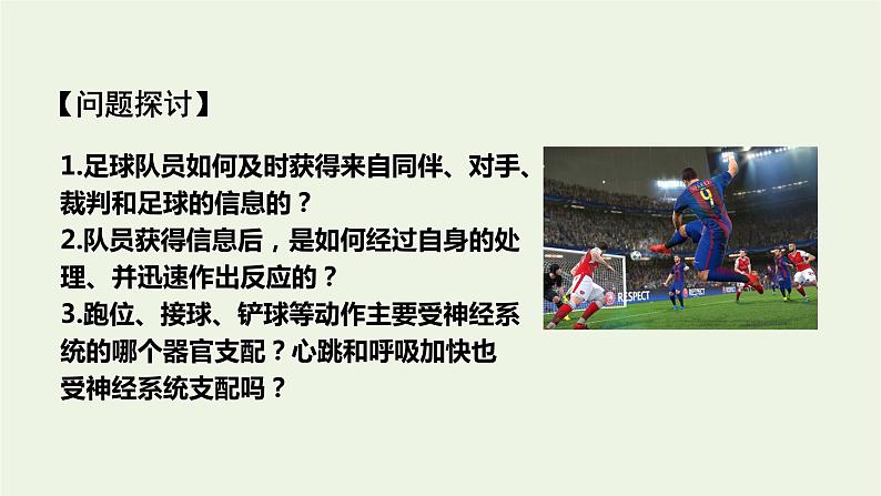 新人教版高中生物选择性必修1第2章神经调节第1节神经调节的结构基础课件03