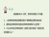 新人教版高中生物选择性必修1第2章神经调节第1节神经调节的结构基础课件