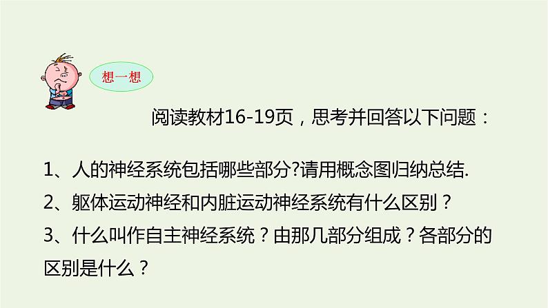 新人教版高中生物选择性必修1第2章神经调节第1节神经调节的结构基础课件05