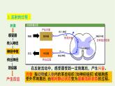 新人教版高中生物选择性必修1第2章神经调节第2节神经调节的基本方式课件