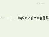 新人教版高中生物选择性必修1第2章神经调节第3节神经冲动的产生和传导课件