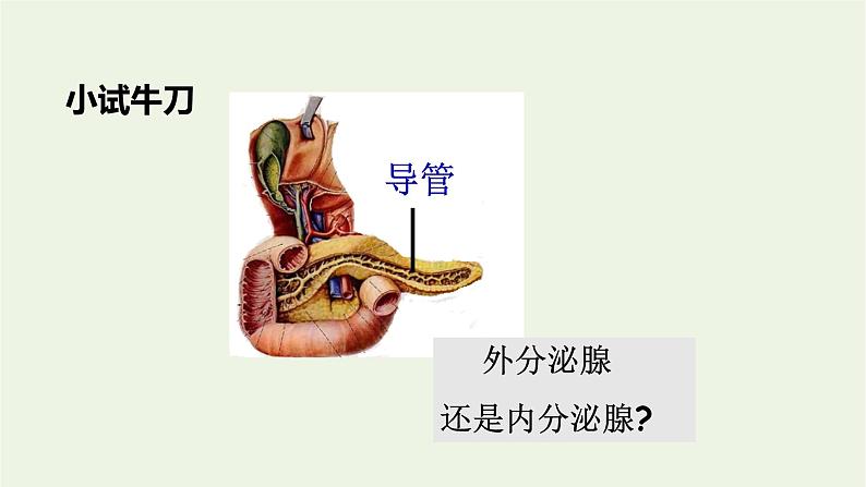 新人教版高中生物选择性必修1第3章体液调节第1节激素与内分泌系统课件第8页