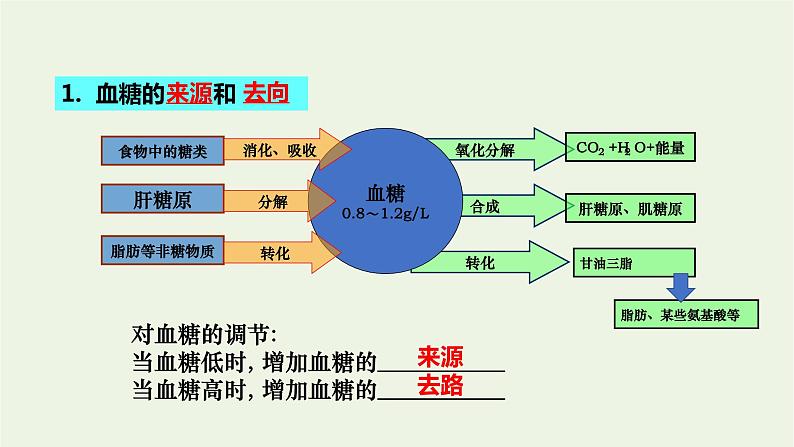 新人教版高中生物选择性必修1第3章体液调节第2节激素调节的过程课件06