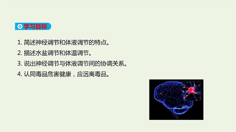新人教版高中生物选择性必修1第3章体液调节第3节体液调节与神经调节的关系课件第2页