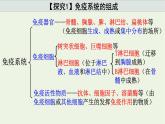 新人教版高中生物选择性必修1第4章免疫调节第1节免疫系统的组成和功能课件