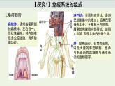 新人教版高中生物选择性必修1第4章免疫调节第1节免疫系统的组成和功能课件
