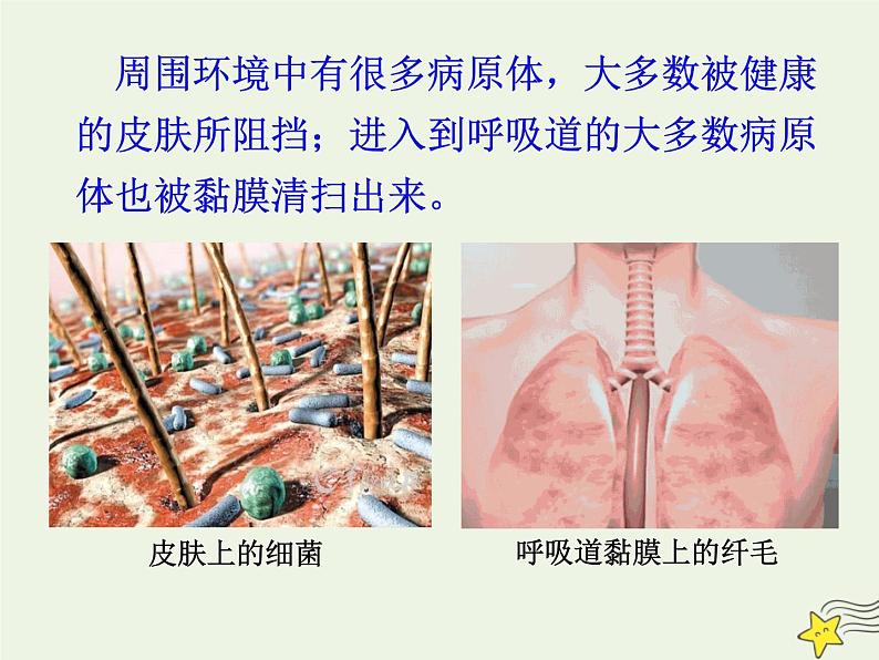 新人教版高中生物选择性必修1第4章免疫调节第2节特异性免疫课件04