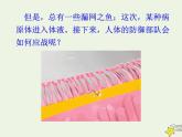 新人教版高中生物选择性必修1第4章免疫调节第2节特异性免疫课件
