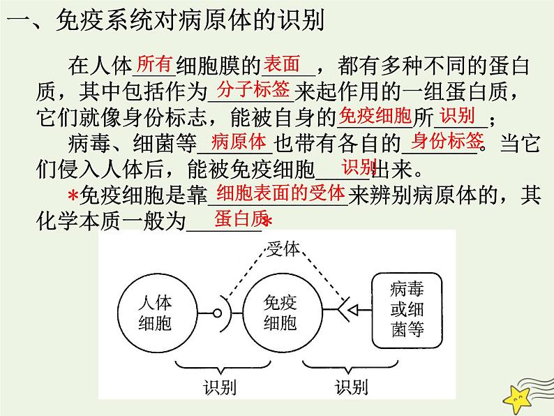 新人教版高中生物选择性必修1第4章免疫调节第2节特异性免疫课件08