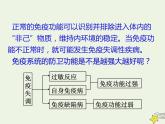 新人教版高中生物选择性必修1第4章免疫调节第3节免疫失调课件