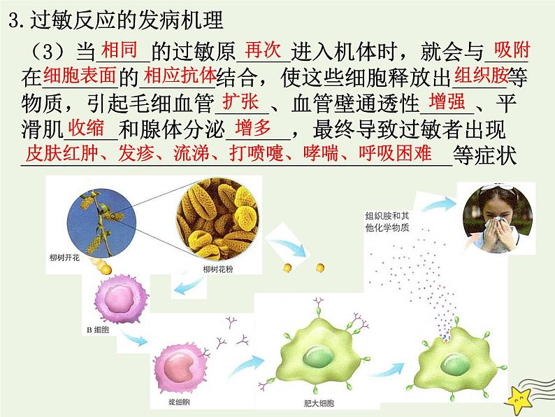 新人教版高中生物选择性必修1第4章免疫调节第3节免疫失调课件08