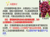 新人教版高中生物选择性必修1第5章植物生命活动的调节第3节植物生长调节剂的应用课件