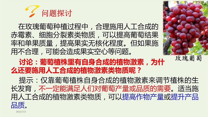 新人教版高中生物选择性必修1第5章植物生命活动的调节第3节植物生长调节剂的应用课件03