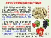 新人教版高中生物选择性必修1第5章植物生命活动的调节第3节植物生长调节剂的应用课件