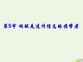 新人教版高中生物必修1第二单元核酸是遗传信息携带者课件