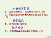 新人教版高中生物必修1第二单元核酸是遗传信息携带者课件