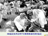 新人教版高中生物必修1第二单元核酸是遗传信息携带者课件
