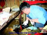 新人教版高中生物必修1第二单元核酸是遗传信息携带者课件
