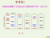 新人教版高中生物必修1第二单元核酸是遗传信息携带者课件