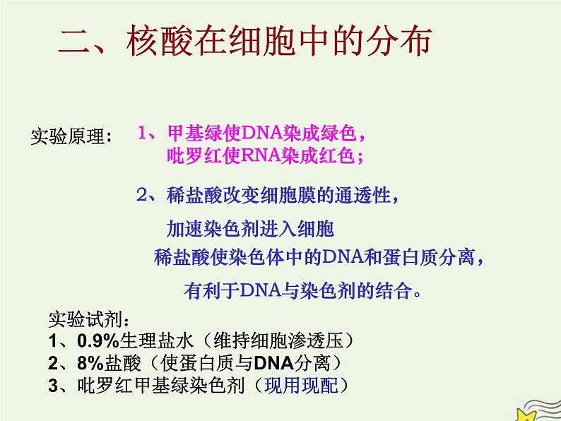 新人教版高中生物必修1第二单元核酸是遗传信息携带者课件第7页