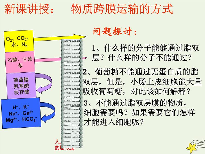 新人教版高中生物必修1第四单元物质跨膜运输的方式课件第3页