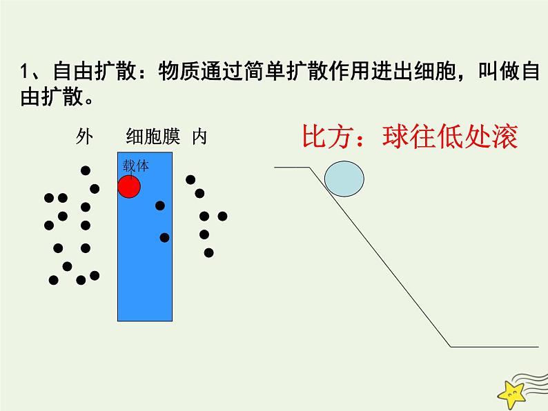 新人教版高中生物必修1第四单元物质跨膜运输的方式课件第4页