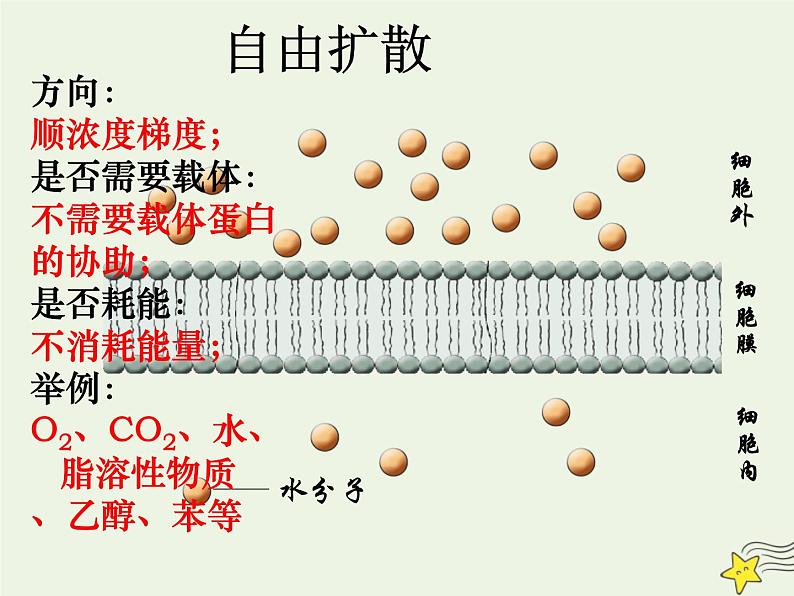 新人教版高中生物必修1第四单元物质跨膜运输的方式课件第5页