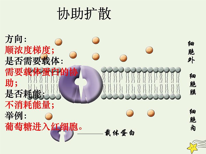 新人教版高中生物必修1第四单元物质跨膜运输的方式课件第7页