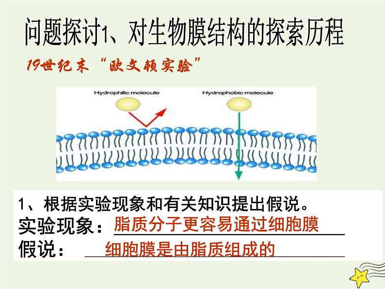 新人教版高中生物必修1第四单元生物膜的流动镶嵌模型课件第3页