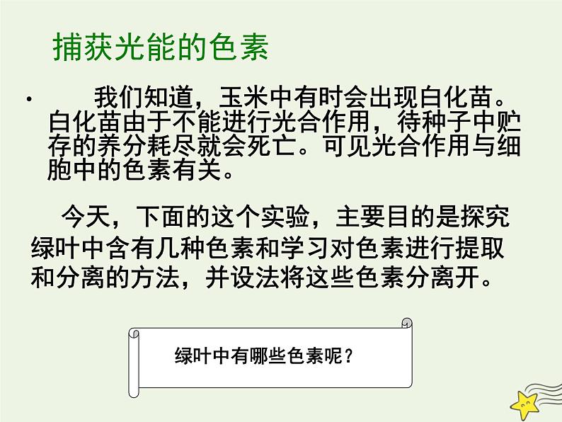 新人教版高中生物必修1第五单元光合作用与能量转化课件第5页