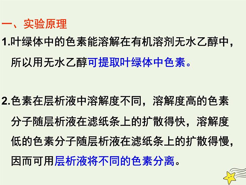 新人教版高中生物必修1第五单元光合作用与能量转化课件第7页