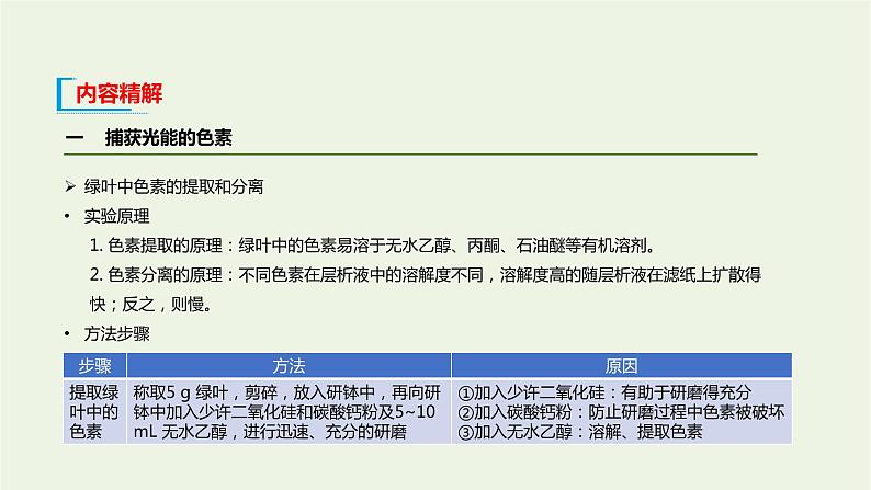 新人教版高中生物必修1第5章细胞的能量供应和利用第4节光合作用与能量转化课件08