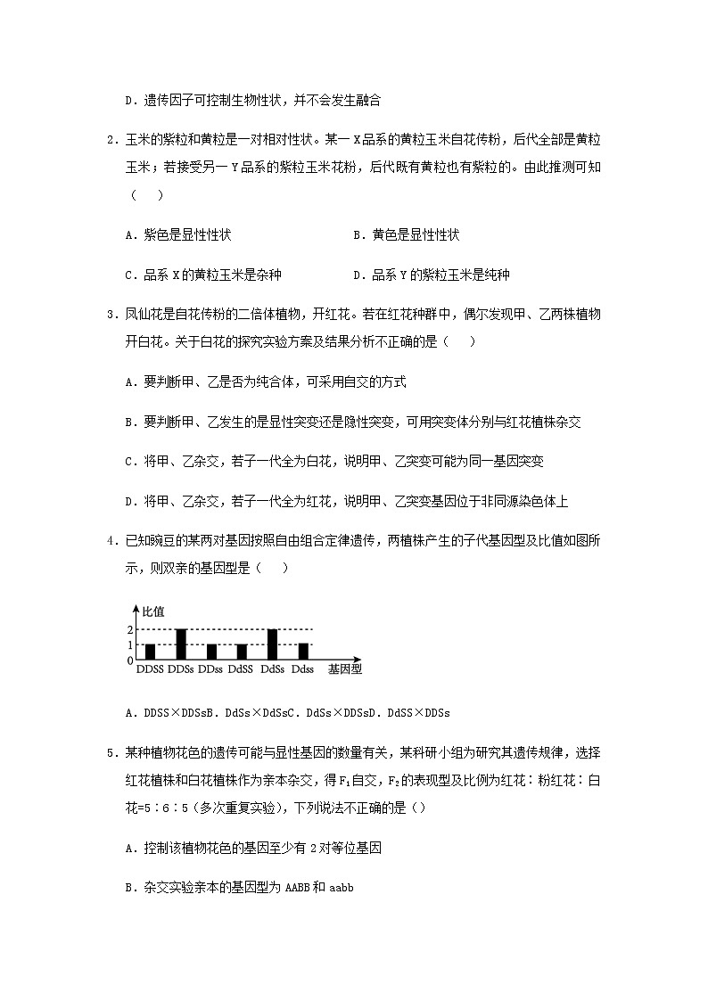 新教材高一生物下学期暑假训练2孟德尔的豌豆杂交实验二含答案02