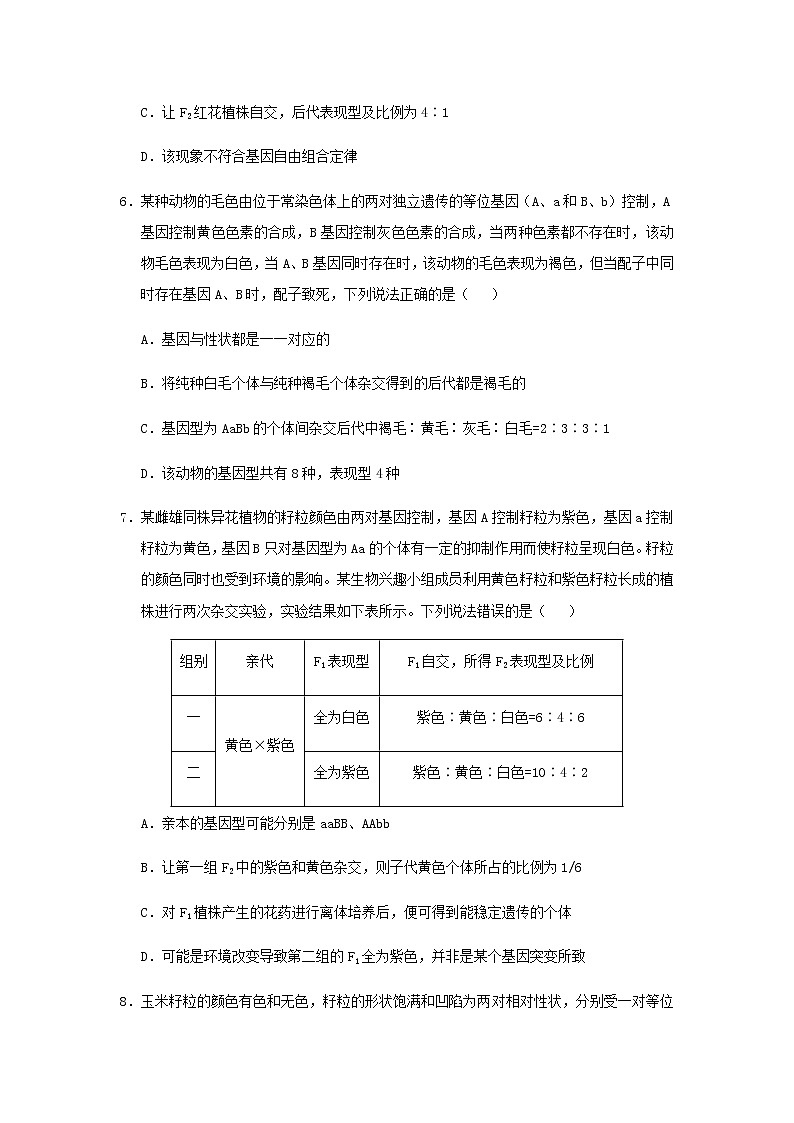 新教材高一生物下学期暑假训练2孟德尔的豌豆杂交实验二含答案03