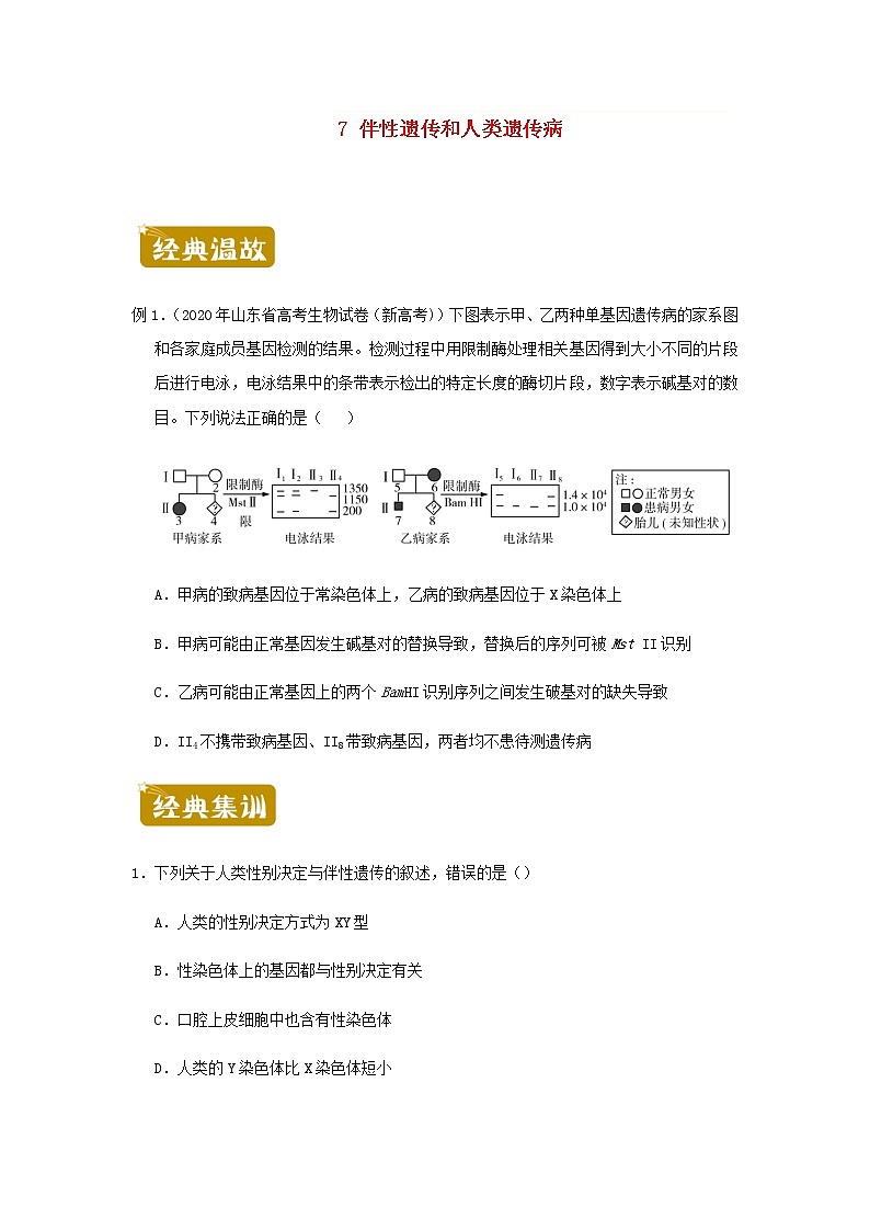 新教材高一生物下学期暑假训练7伴性遗传和人类遗传病含答案第1页