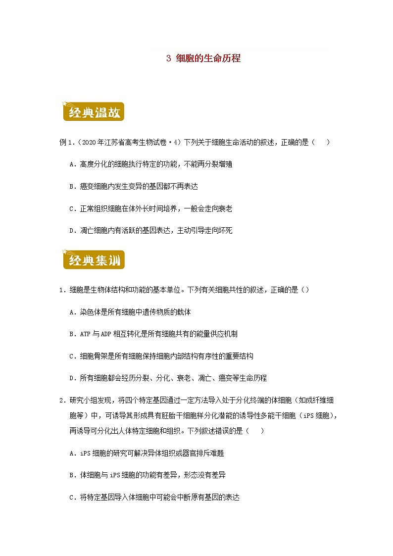 新教材高二生物下学期暑假训练3细胞的生命历程含答案第1页