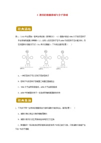 新教材高二生物下学期暑假训练4遗传的细胞基础与分子基础含答案