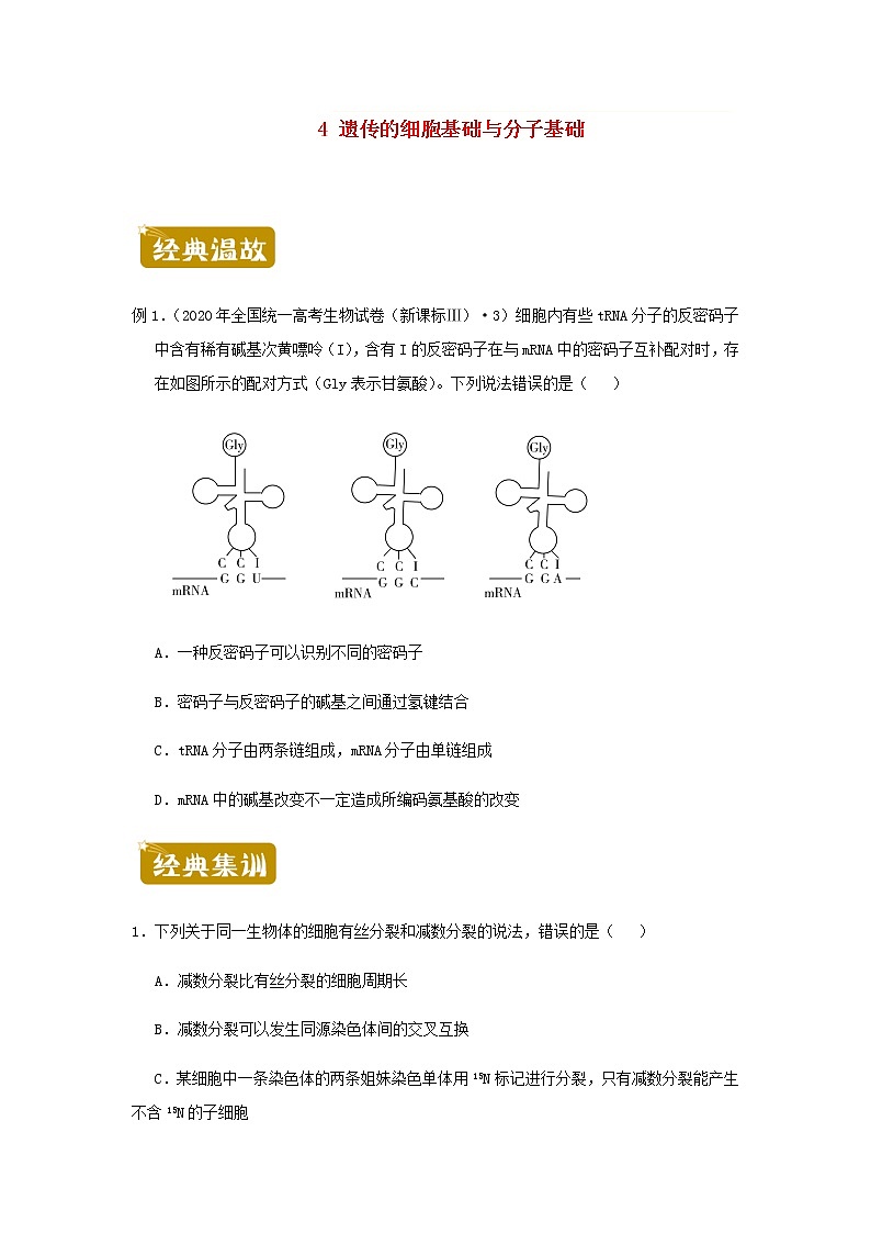 新教材高二生物下学期暑假训练4遗传的细胞基础与分子基础含答案第1页