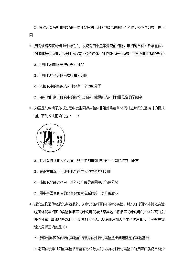 新教材高二生物下学期暑假训练4遗传的细胞基础与分子基础含答案第2页