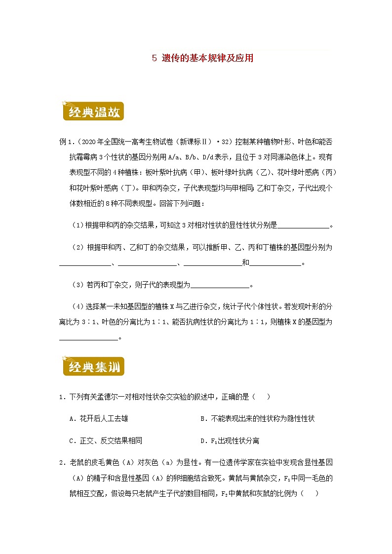 新教材高二生物下学期暑假训练5遗传的基本规律及应用含答案第1页