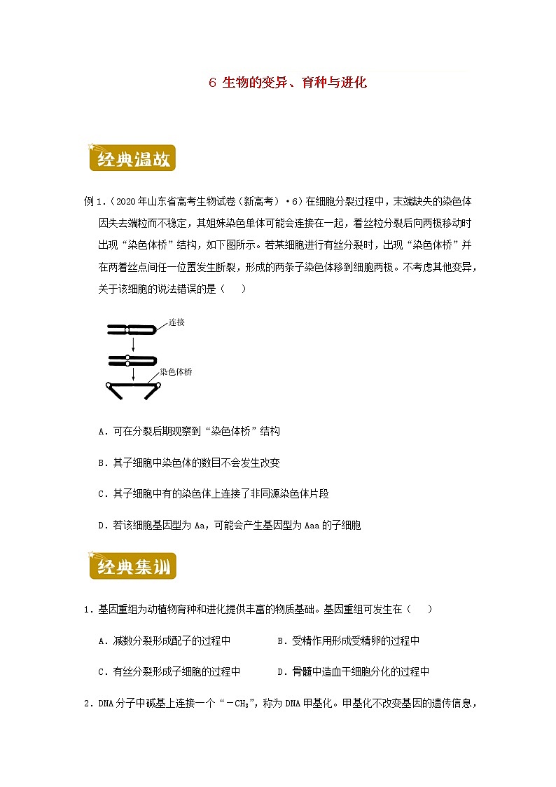 新教材高二生物下学期暑假训练6生物的变异育种与进化含答案第1页