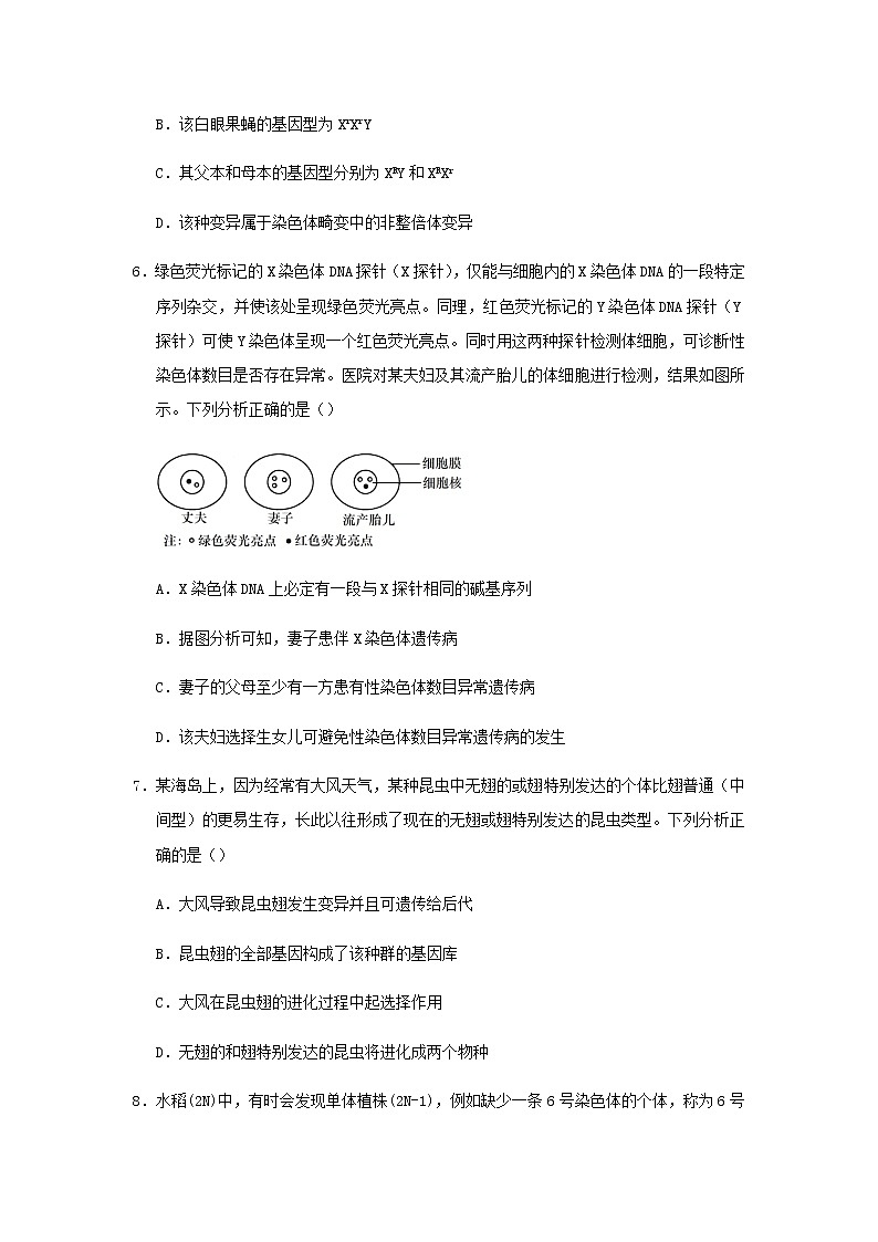 新教材高二生物下学期暑假训练6生物的变异育种与进化含答案第3页
