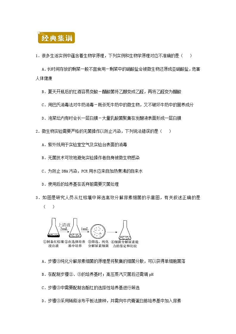 新教材高二生物下学期暑假训练9生物技术与工程含答案第2页