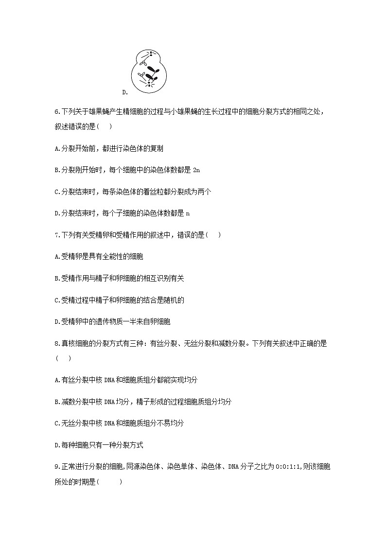 高中生物暑假作业03减数分裂和受精作用基础训练含解析02