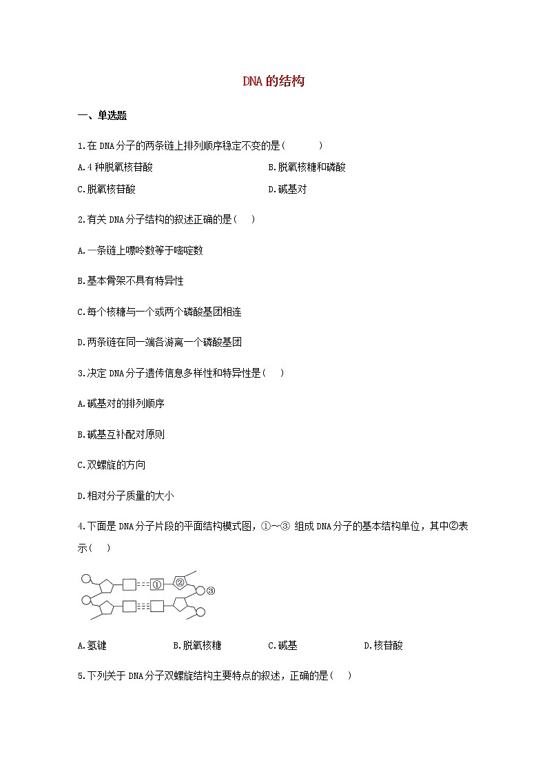 高中生物暑假作业07DNA的结构基础训练含解析第1页