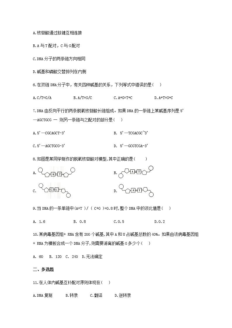 高中生物暑假作业07DNA的结构基础训练含解析第2页