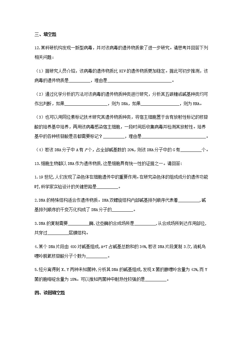 高中生物暑假作业07DNA的结构基础训练含解析第3页