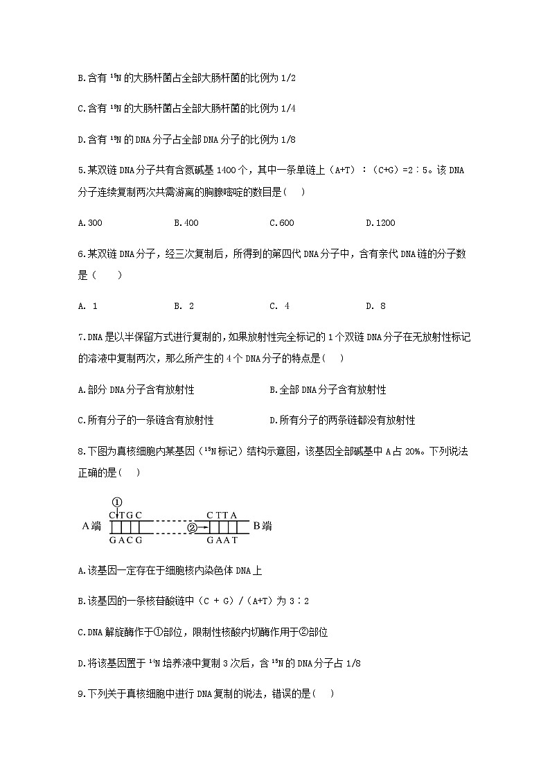 高中生物暑假作业08DNA的复制基础训练含解析第2页