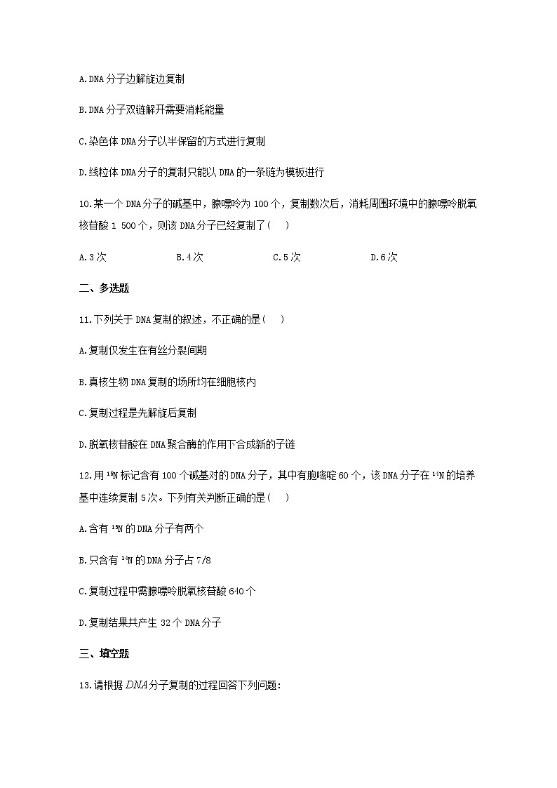 高中生物暑假作业08DNA的复制基础训练含解析第3页